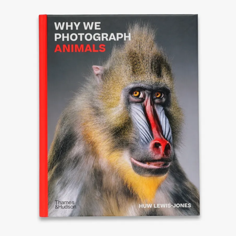 Book cover for Why We Photograph Animals by Huw Lewis-Jones