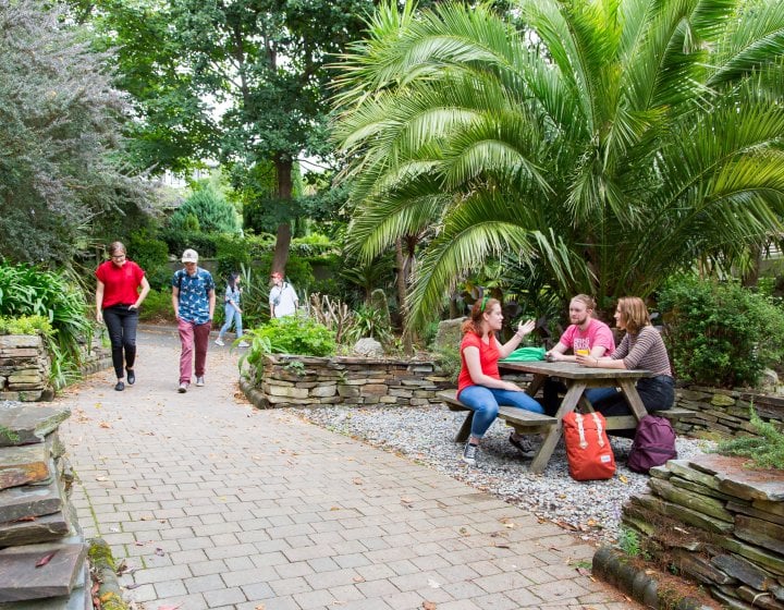 Students sitting and under a fern and walking through Falmouth campus greenery.