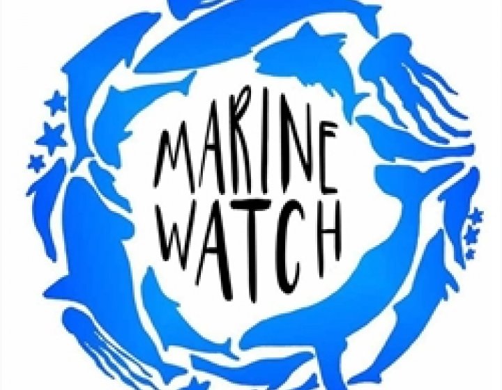 MarineWatch Logo