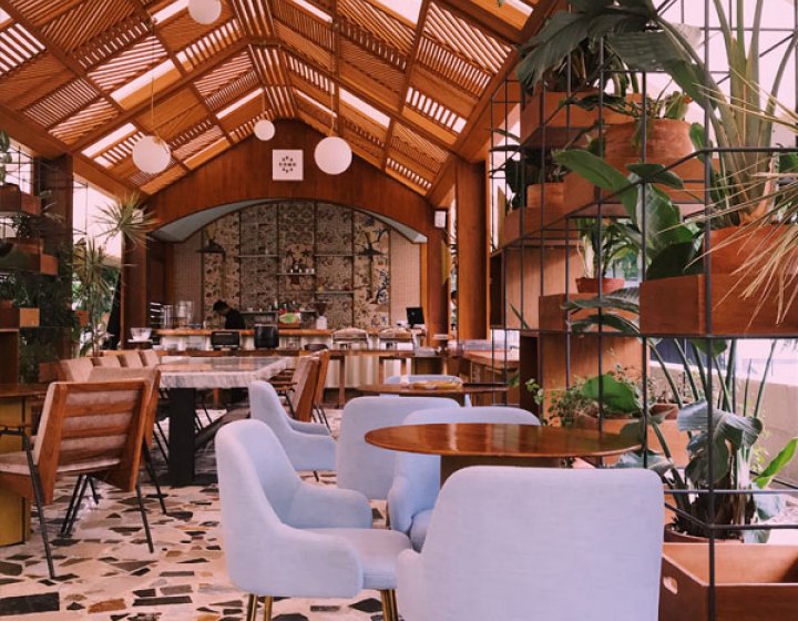 An interior of a restaurant with a wooden roof, plants and chairs
