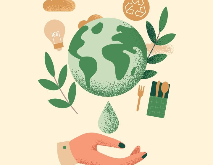 An illustration of the globe, leaves and a lightbulb