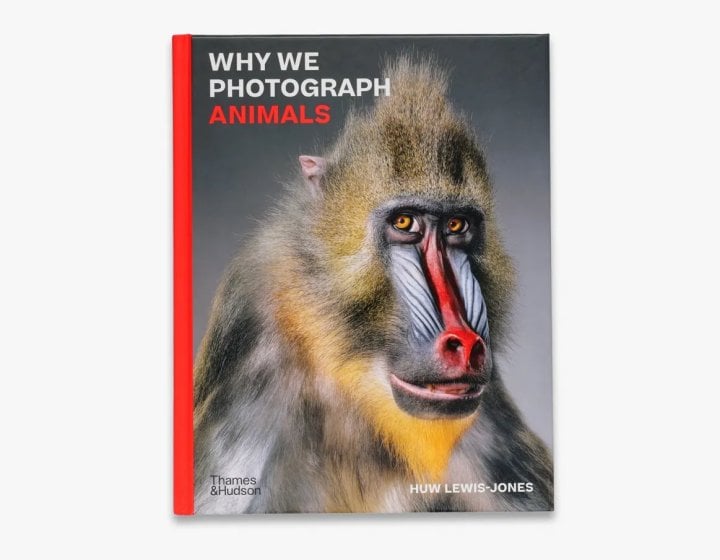 Book cover for Why We Photograph Animals by Huw Lewis-Jones