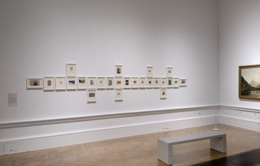A series of photographs in a gallery wall