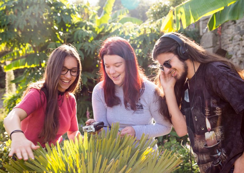 Three students look at a leafy shrub