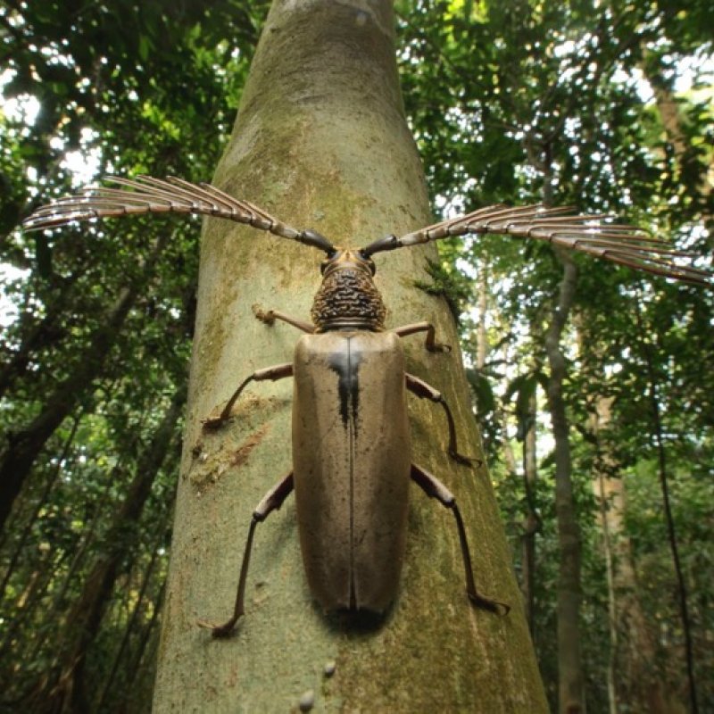 Sculpture of bug on a tree