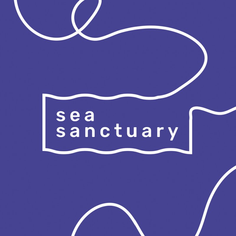 Logo redesign for Sea Sanctuary charity, blue background with white swirling lines and organisation name in centre
