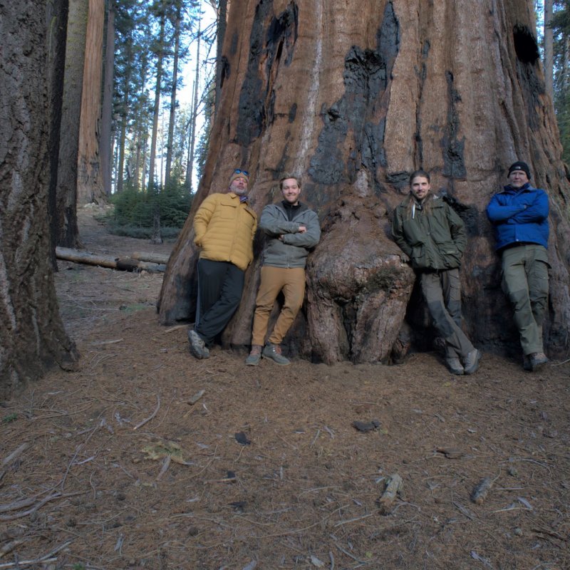 Researcher Tom Hull leaning against a large tree with three colleagues 