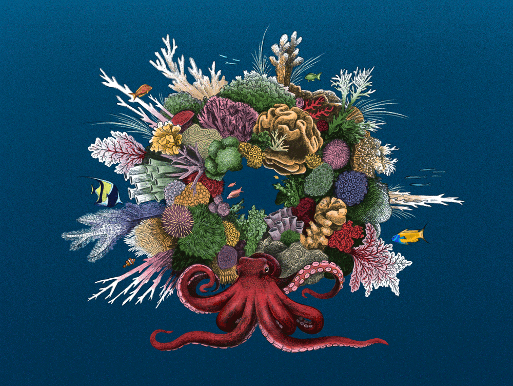 Coral Wreath