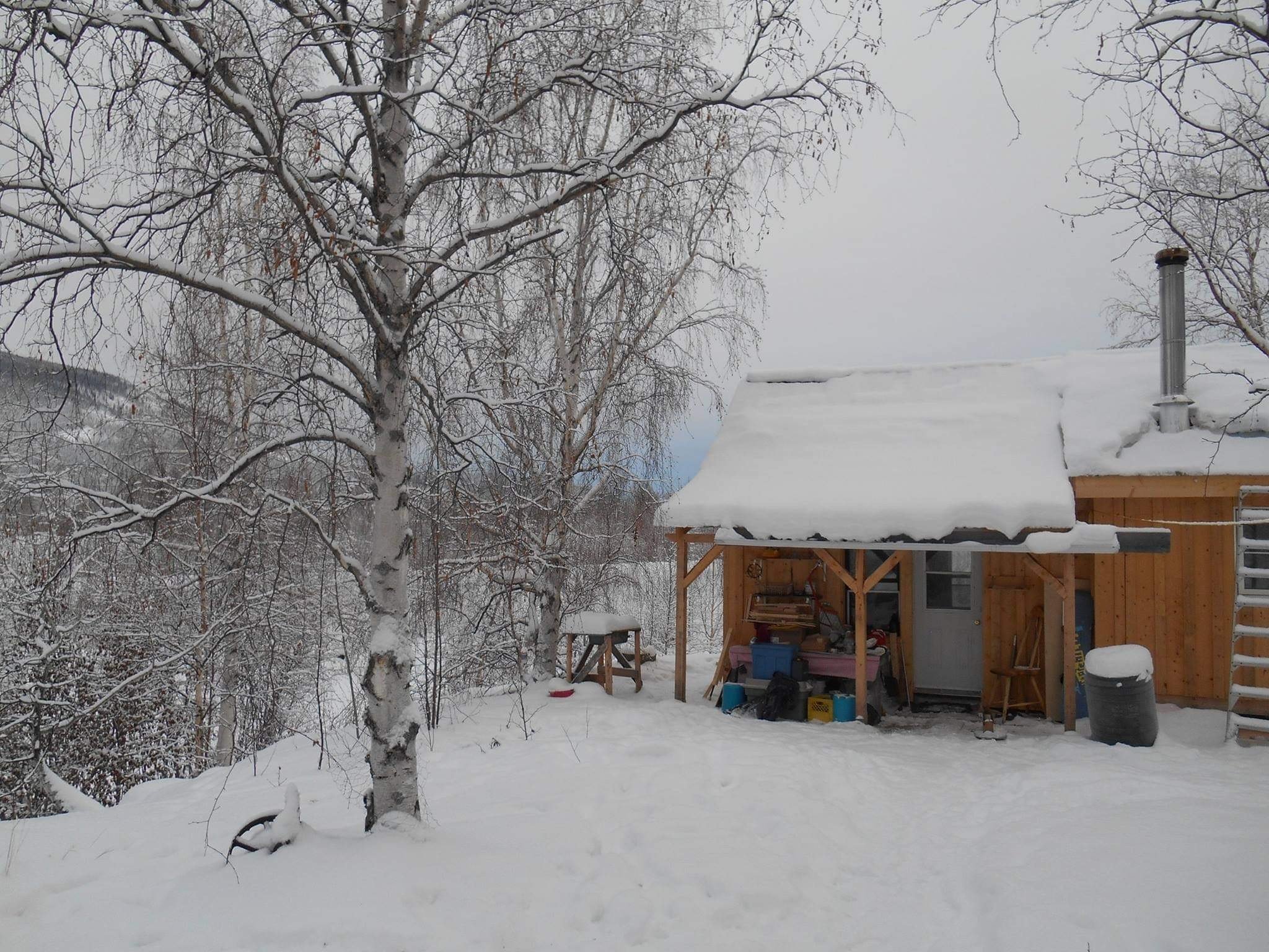 A small wooden hut, covered in snow, surrounded by trees
