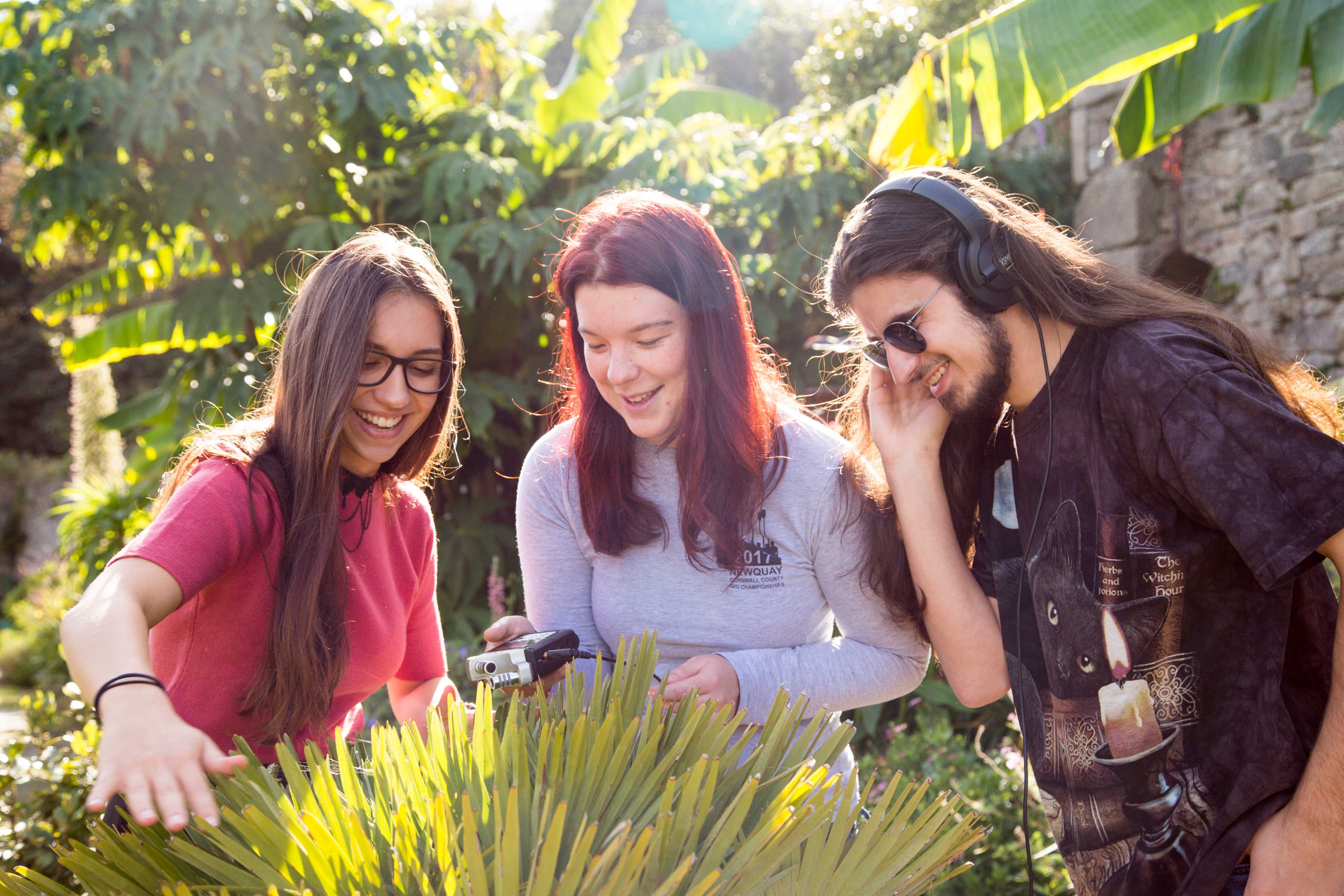 Three students examine a leafy shrub