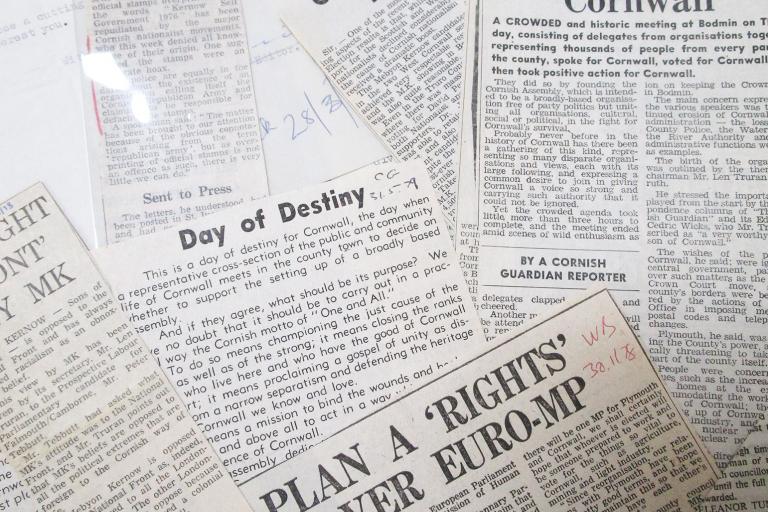 Papers of Adrian Lee