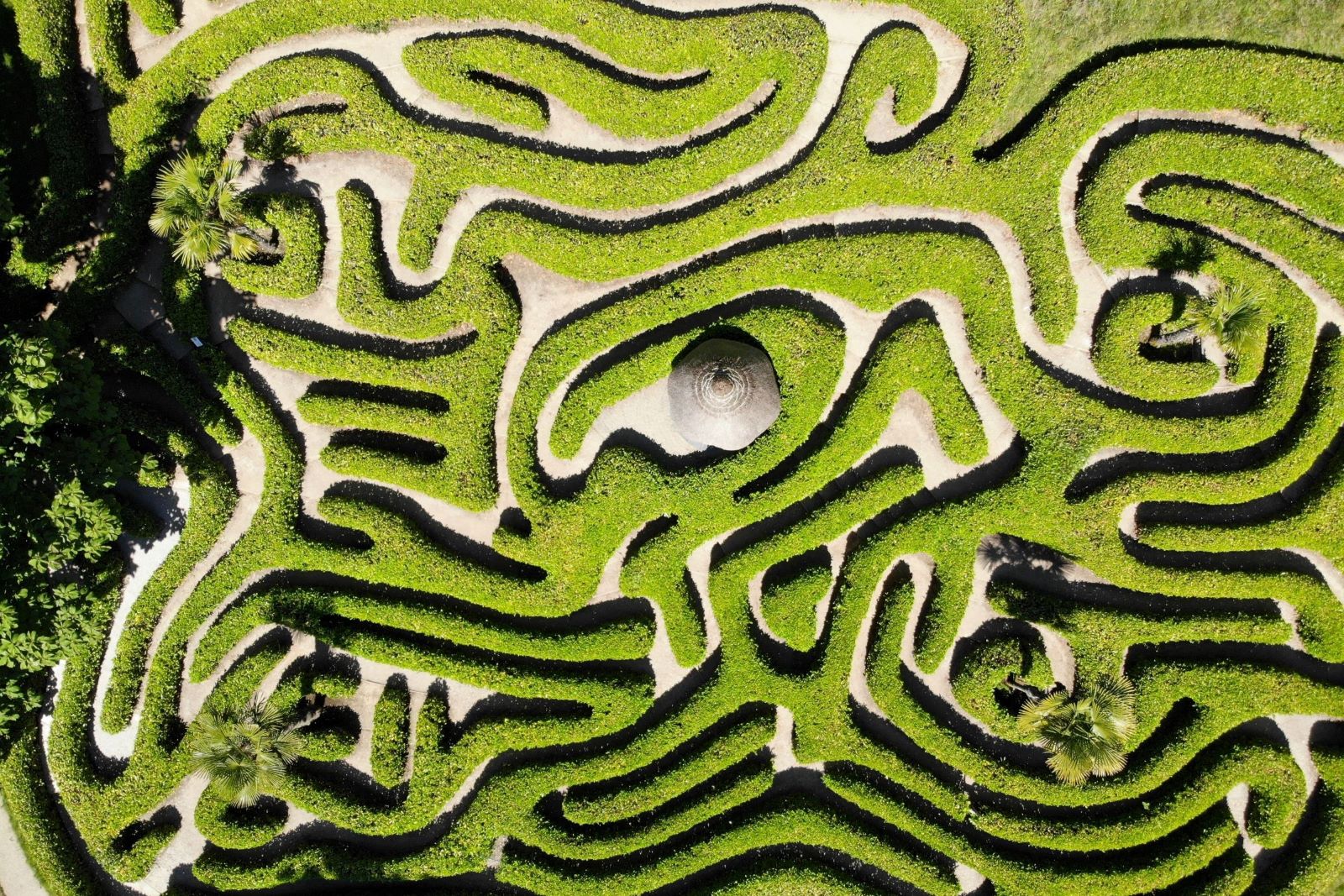Laurel hedge maze at Glendurgan Gardens from above