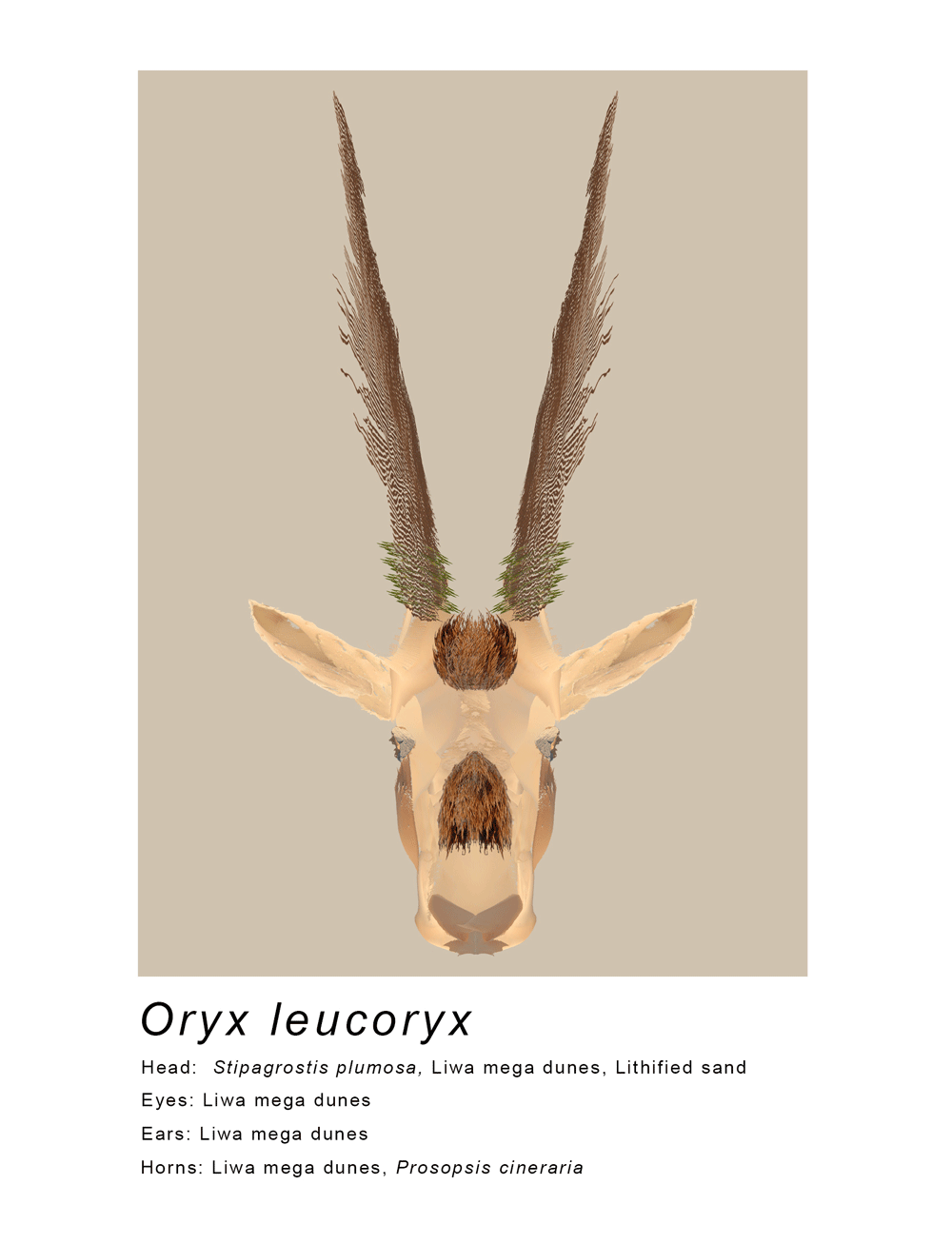An artwork of Oryx Leucoryx