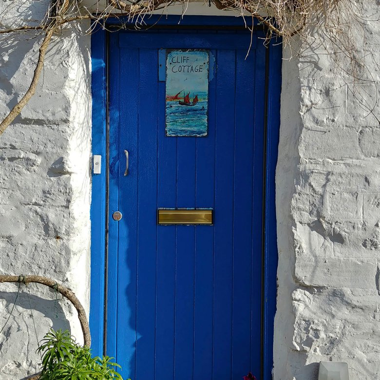 A blue front door with white walls and plants outside