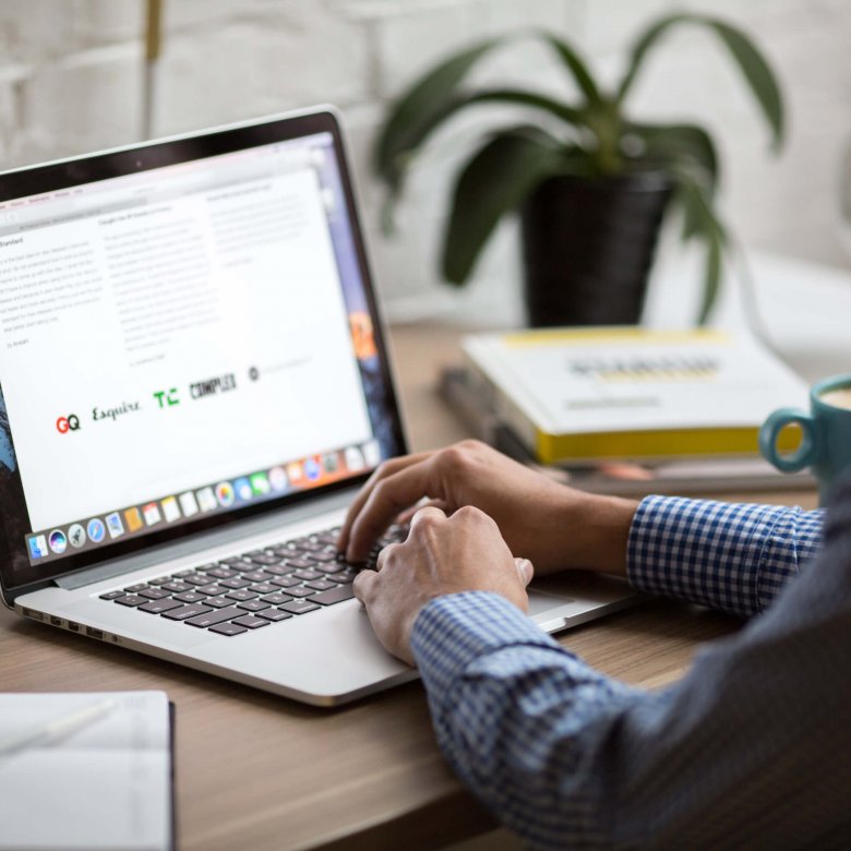 Man studying from home on laptop with house plant