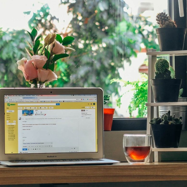 An open laptop on a table with a glass and plants posited behind