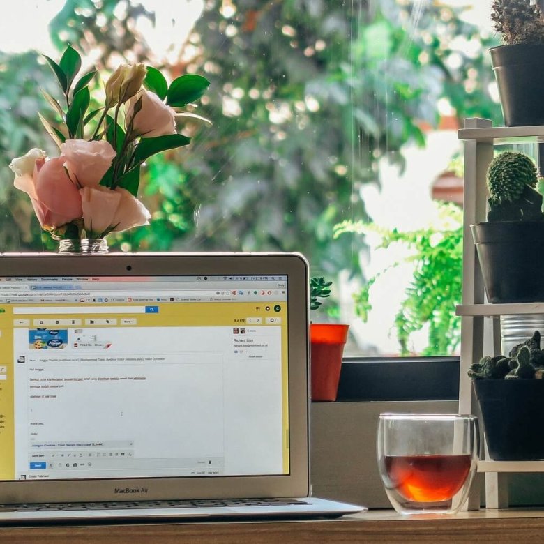 An open laptop on a table with a glass and plants posited behind