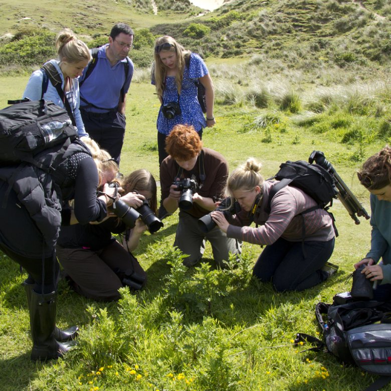 Students in a field photographing something close up on a plant.