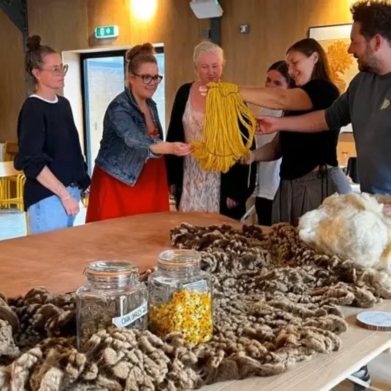 A group of people on a farm examining wool