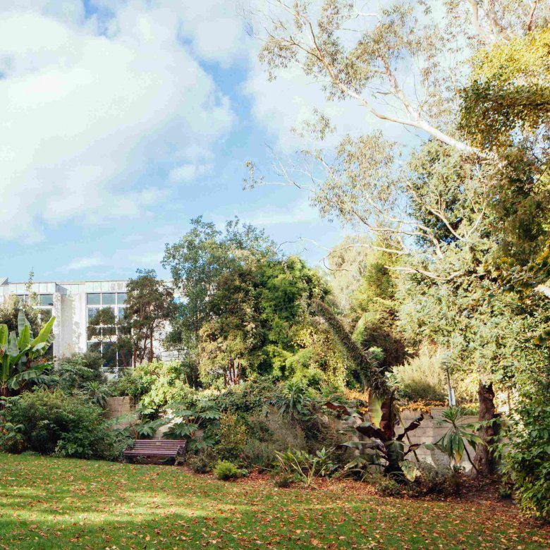 An image of a large garden on a sunny day
