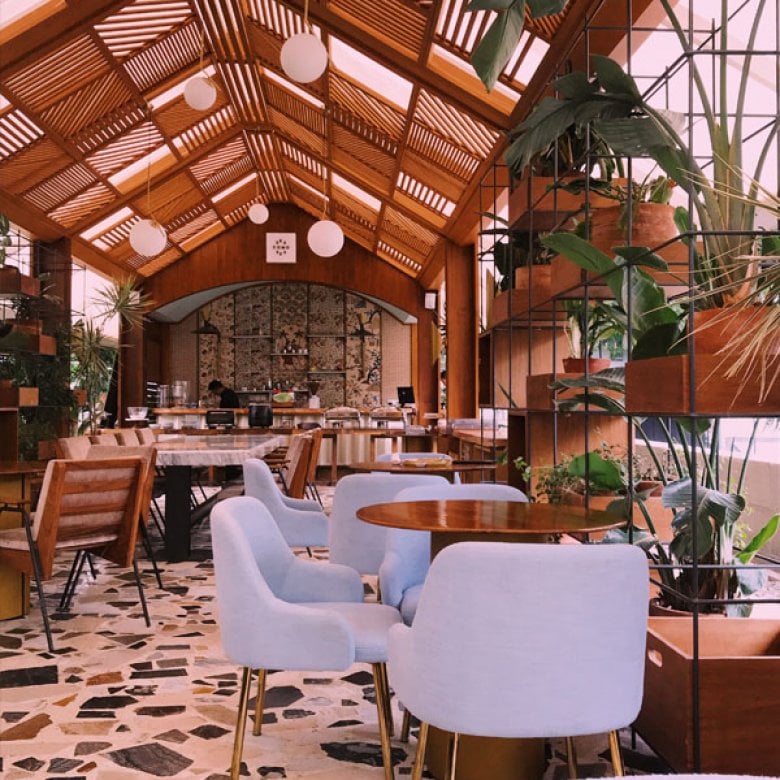 An interior of a restaurant with a wooden roof, plants and chairs