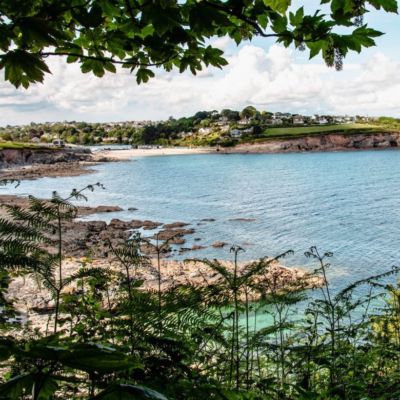 A view of Swanpool Beach framed by trees