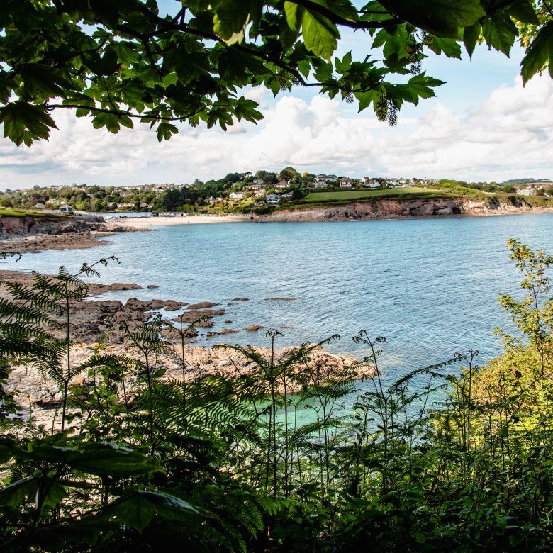 A view of Swanpool Beach framed by trees