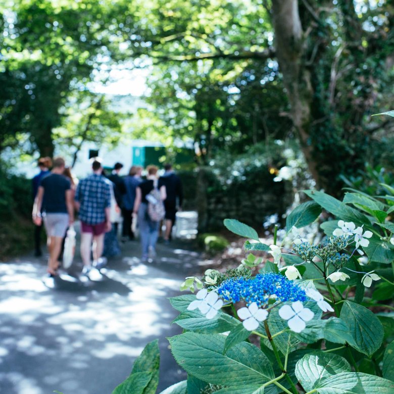 Blue and white flowers are seen in the foreground, with students walking down a pathway in the background