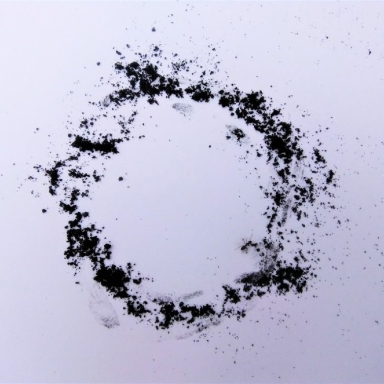 Ant circle