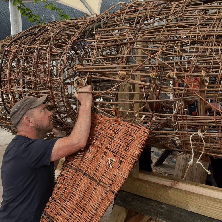 Basket Shark Imagery