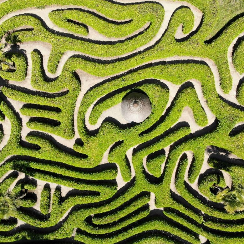 Photograph of the laurel maze at Glendurgan Garden from above