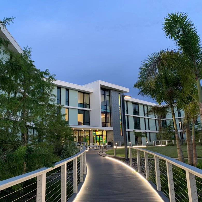 Photo of a large university building in Florida, with walkway lined with palm trees.