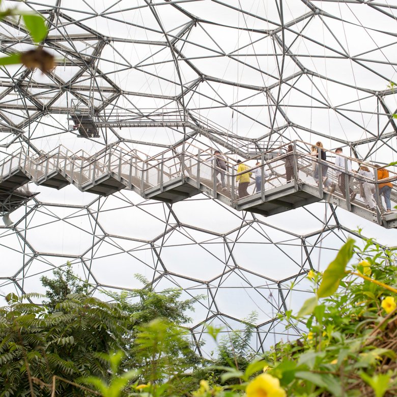 The Eden Project