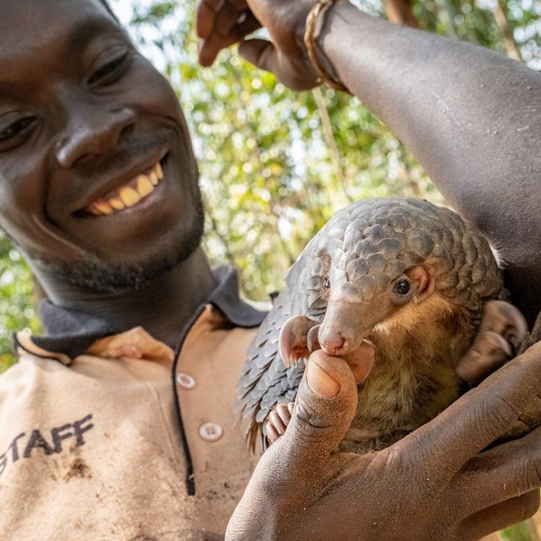 A man smiling while holding a pangolin