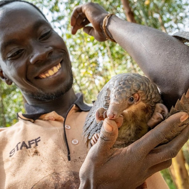 A man smiling while holding a pangolin