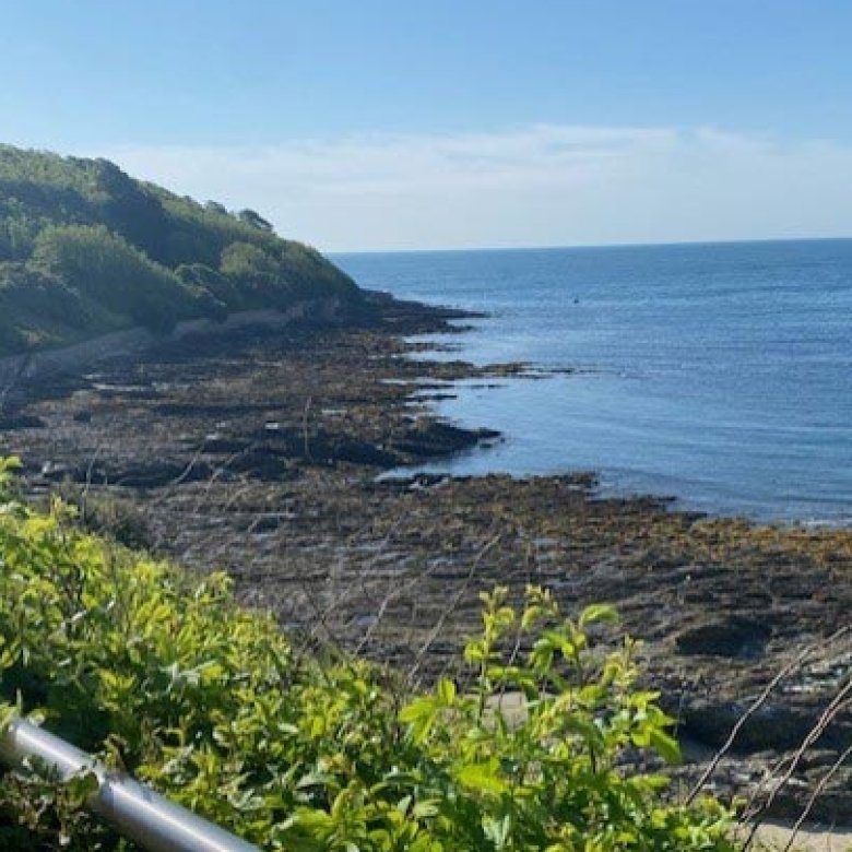 View of the sea with rocks and green shrubs