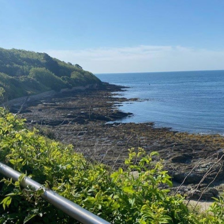 View of the sea with rocks and green shrubs