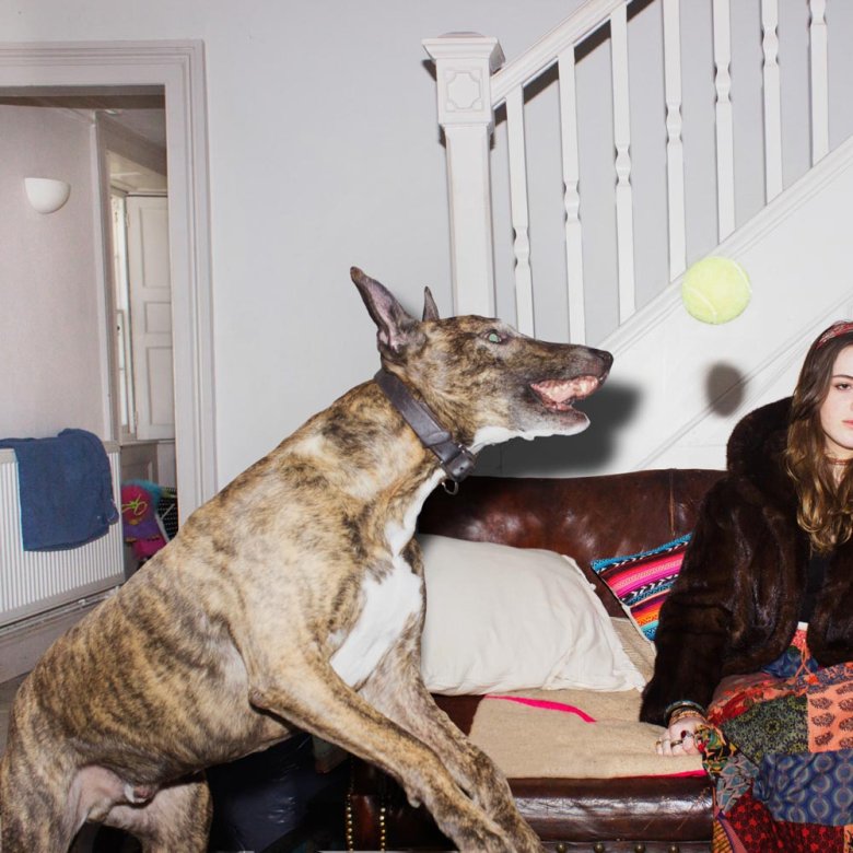 A young woman sitting on a sofa with a large dog jumping up