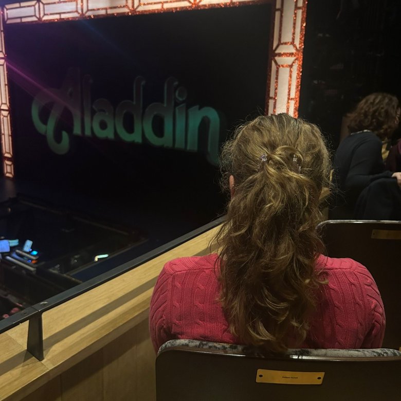 Back of a student's head sitting in a theatre