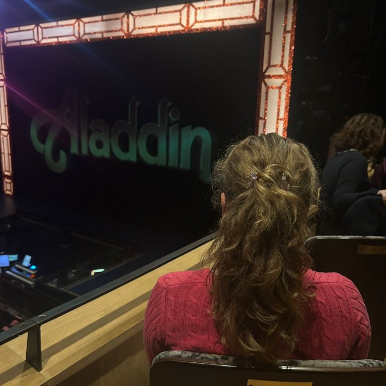 Back of a student's head sitting in a theatre