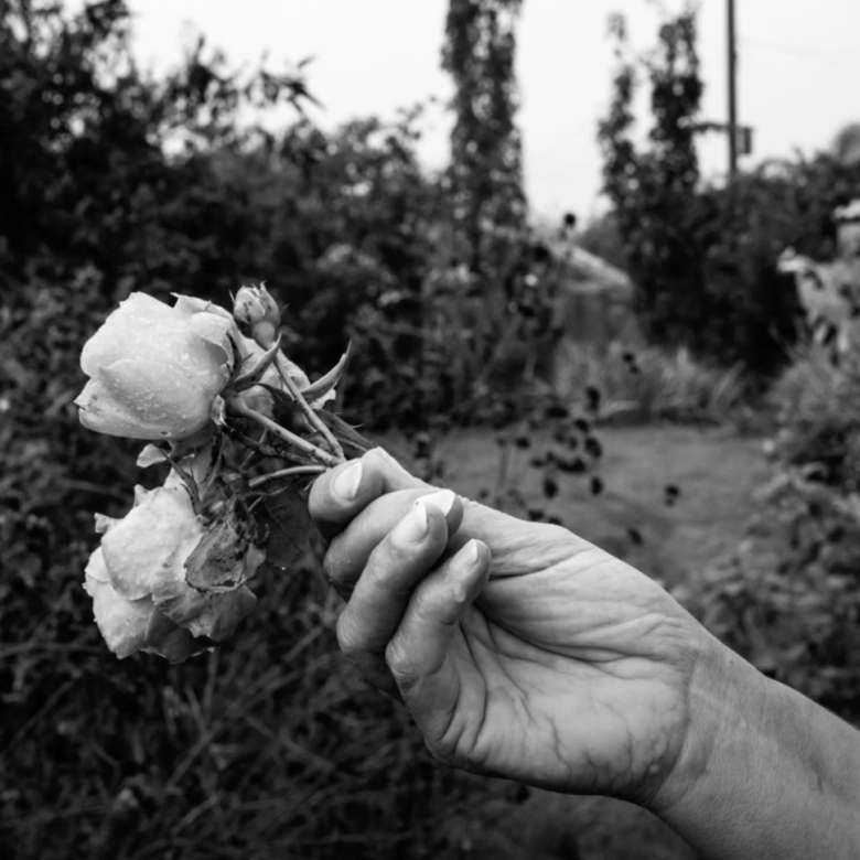 Black and white photo of a hand holding roses in a garden