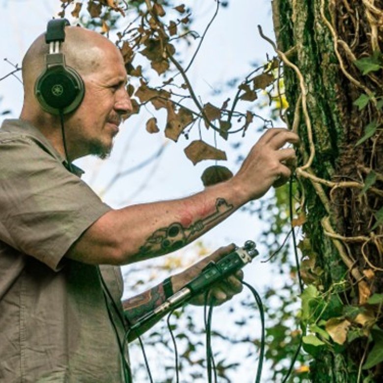 A man recording the sound of a tree