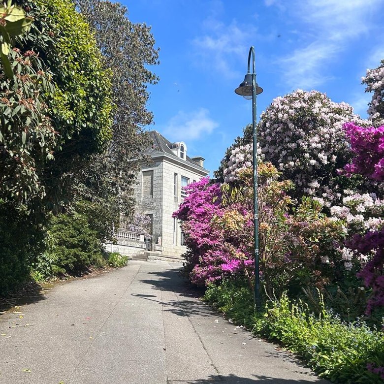Penryn campus with path and rhododendrons