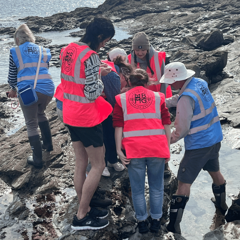 Students rockpooling