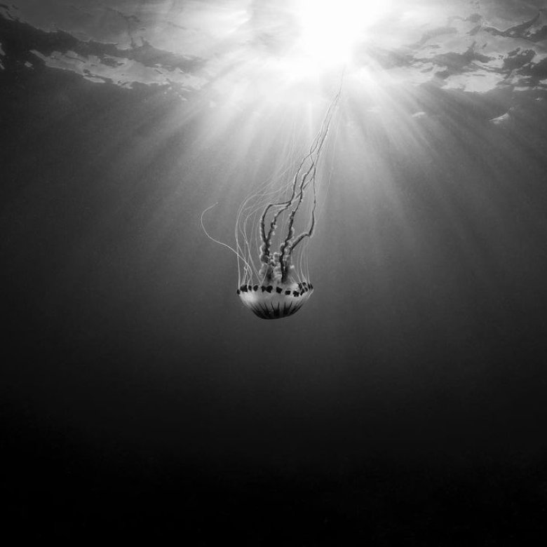 'Abyss' by Gina Goodman