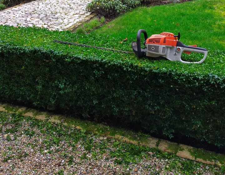 Hedge trimming resting on top of a newly trimmed hedge