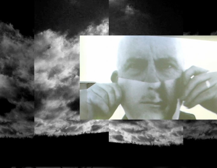 Still image from Contrapunctus video