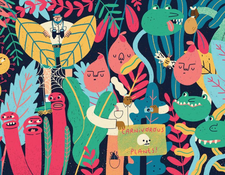 Bright coloured illustration of woodland creatures and leaves.