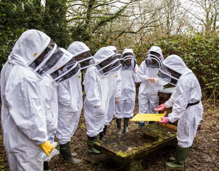 Falmouth University Bee Society wearing bee suits