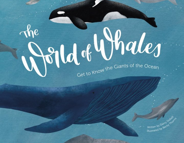 The World of Whales book cover